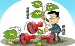 2015年中央第二轮专项巡视前瞻