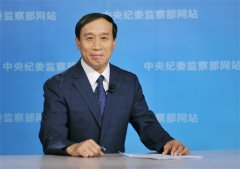 中纪委驻全国人大机关纪检组：对19名领导干部问责 部级2名