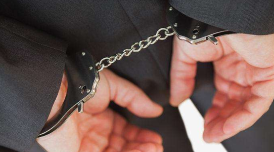 40名已归案“百名红通人员”后续情况