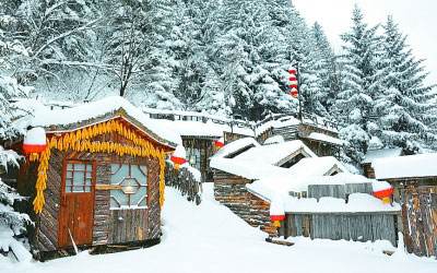 人民日报：大力实施乡村振兴战略