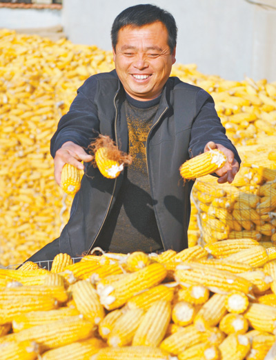 河北海兴县高湾镇苗庄子村村民平锁柱冬闲时节储存玉米。 人民视觉