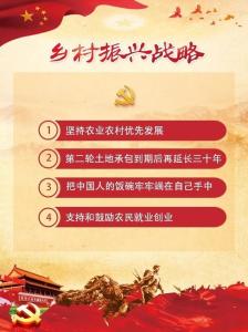 乡村振兴举什么旗走什么路(政策解读·聚焦中央一号文件②)