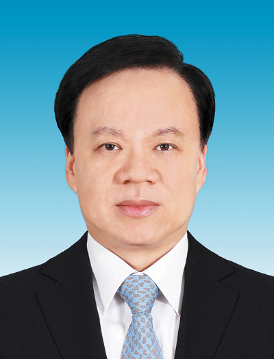 陈敏尔代表(重庆市委书记)