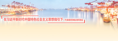 改革开放 瞄准更高目标(在习近平新时代中国特色社会主义思想指引下·代表委员畅谈抓落实)