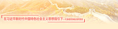 正风肃纪 优化政治生态(在习近平新时代中国特色社会主义思想指