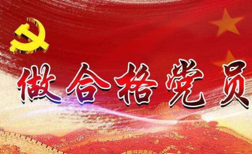 中央政治局同志向党中央和习近平总书记述职