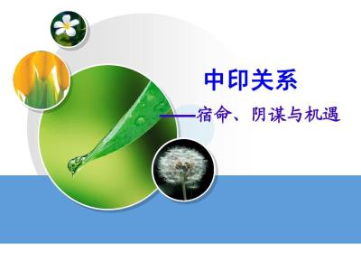 汲取中印文明“和”的养分(钟声)