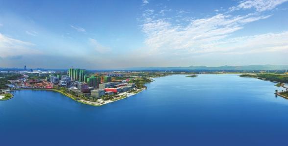 成都兴隆湖有个天然“净水器”