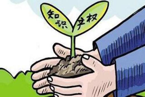 知识产权保护需各国携手同行