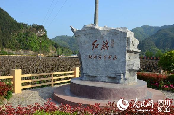 汶川地震十年：村美民富产业旺 乡村振兴谱新篇