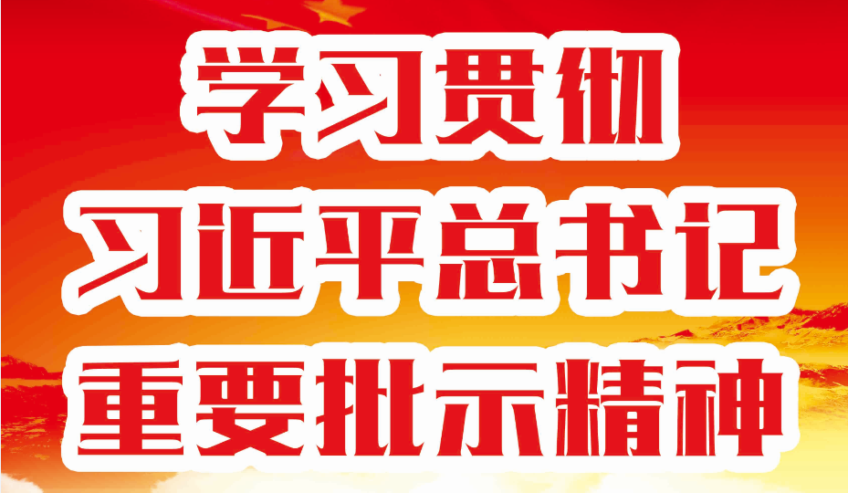 习近平对民政工作作出重要指示