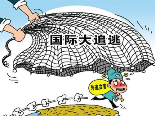 履行法定职责 彰显治理效能  反腐败国际追逃追赃工作系列报道之五