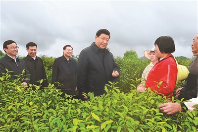 4月20日至23日,中共中央总书记、国家主席、中央军委主席习近平在陕西考察。这是4月21日,习近平在安康市平利县老县镇蒋家坪村女娲凤凰茶业现代示范园区,同茶农们亲切交谈。新华社记者 谢环驰 摄