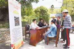 “不担当不作为乱作为假作为”问题居形式主义官僚主义问题查处总数首位 亮剑懒政怠政