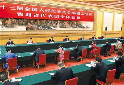 3月7日,中共中央总书记、国家主席、中央军委主席习近平参加十三届全国人大四次会议青海代表团的审议。 新华社记者 李涛