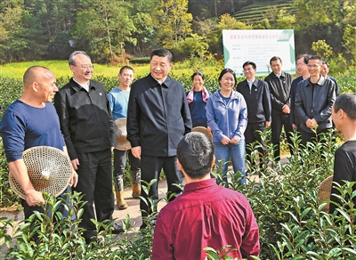 3月22日至25日,中共中央总书记、国家主席、中央军委主席习近平在福建考察。这是22日下午,习近平在南平武夷山市星村镇燕子窠生态茶园,同科技特派员、茶农亲切交流,了解当地茶产业发展情况。 新华社记者 燕雁 摄