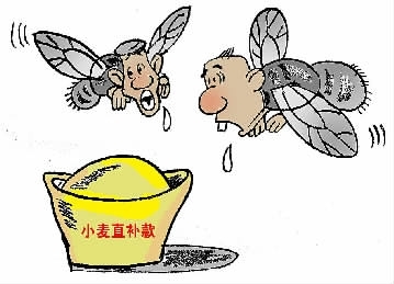 “苍蝇”们盯上小麦直补款