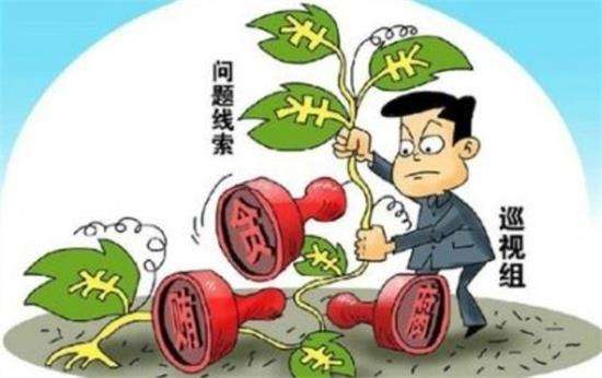 聚焦政治生活，中央巡视组到底看什么？