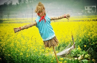 在职不履责与“稻草人”何异？