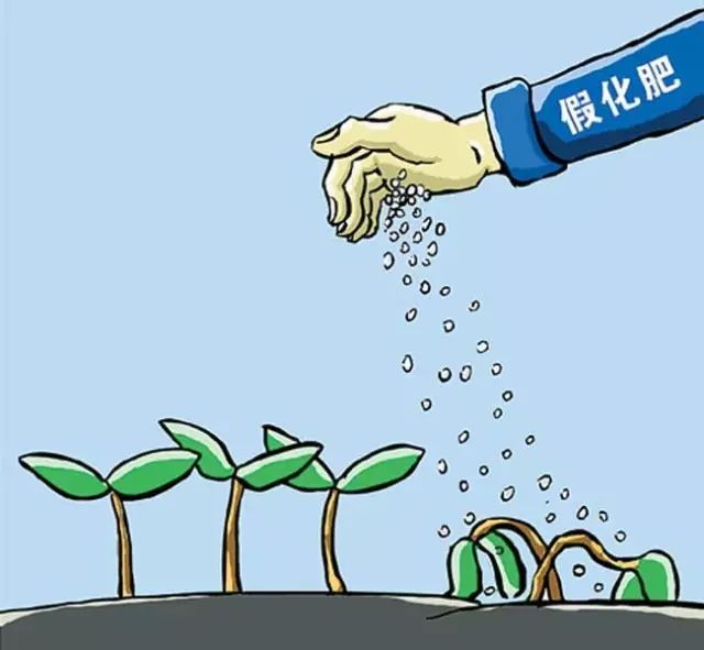 645万扶贫款买了假化肥 收了好处费的扶贫办主任仍下令验收发放