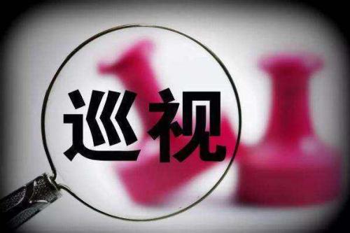 “盯梢”巡察组、调查组  干扰举报、威胁证人  “村霸”受惩治