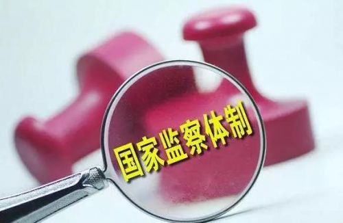 健全党和国家监督体系（认真学习宣传贯彻党的十九大精神）