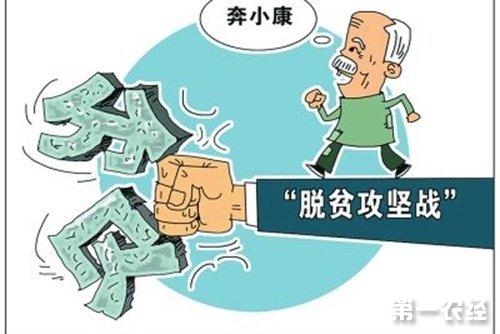 特别党小组撬动扶贫大格局(深度关注·贯彻十九大精神 切实提升