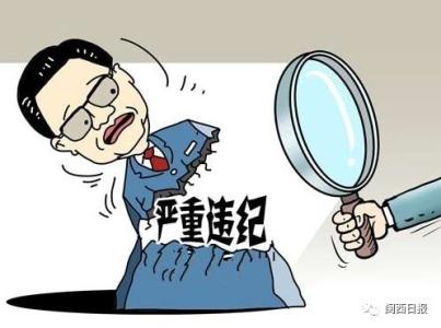 海南省扶贫工作办公室综合处调研员傅婉华接受审查调查