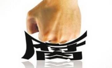 干扰巡视就是对抗组织(红船观澜)