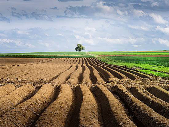 汇聚强大合力 推进乡村振兴(政策解读·机构改革进行时③)