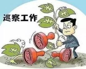 云南:开展交叉巡察 增强发现问题能力