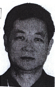 王军文