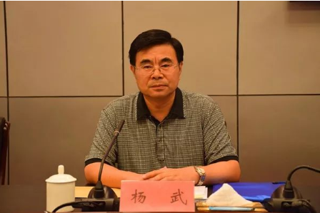 安徽省卫生和计划生育委员会原巡视员杨武被查