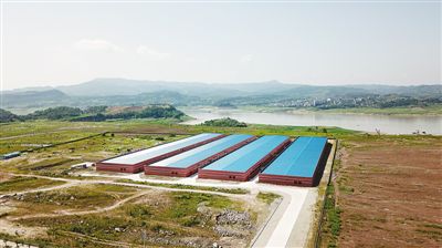 保护区内的电子设备厂,不远处就是长江。 王守城摄