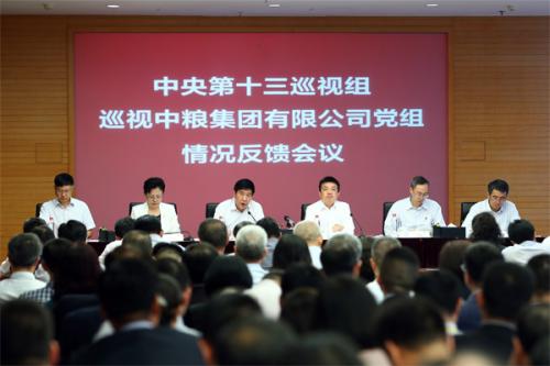 巡视反馈