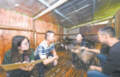 拍“蝇贪蚁腐”，还百姓心安