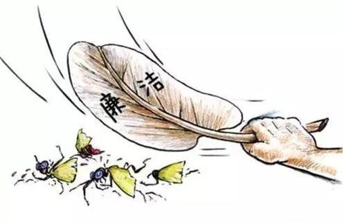 露头就打 不教“小蝇”变大害