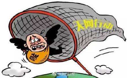 “天网2018”行动全国共追回外逃人员1335名