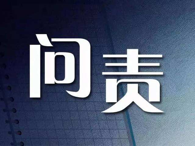 问责不能泛化简单化