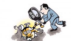 以钉钉子精神推动巡视发现问题彻底整改