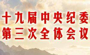 持续深入落实好三次全会精神