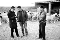 宁夏全力保障脱贫攻坚决战决胜