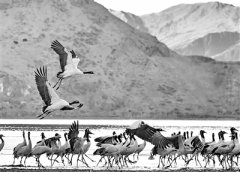 构建命运与共人类家园