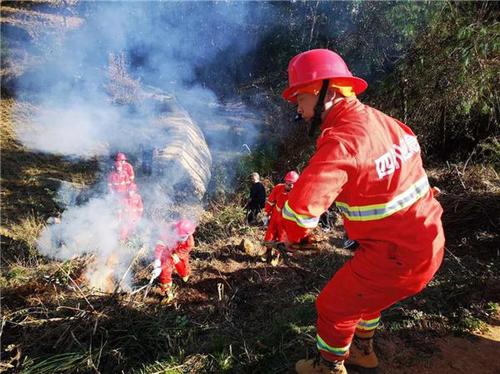全力扑救守护群众安全 西昌市经久乡纪委书记讲述救火经历