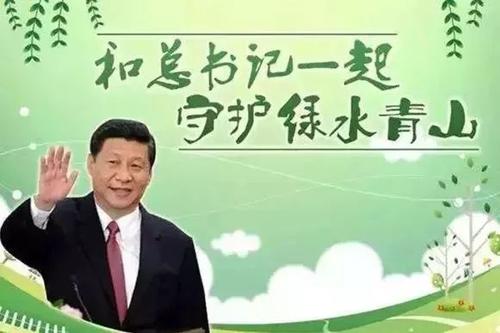 习近平在参加首都义务植树活动时强调 牢固树立绿水青山就是金山银山理念 打造青山常在绿水长流空气常新美丽中国 