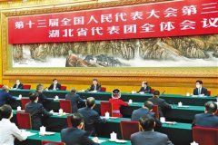 习近平在参加湖北代表团审议时强调 整体谋划系统重塑全面提升 织牢织密公共卫生防护网