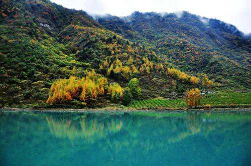 代表委员关注构建亲清政商关系 好环境稳预期增信心