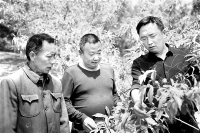 图为李润生(右)正在产业园查看桃子长势。