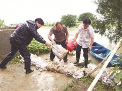 纪检监察机关督促落实防汛救灾责任 切实保障人民生命财产安全