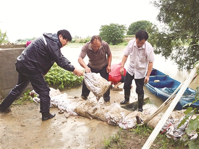 7月13日，江苏省宜兴市丁蜀镇纪检干部到该镇双庙村防汛一线，在督促履行抗洪抢险职责的同时，与当地干部群众一道加固河堤。毛光云 摄
